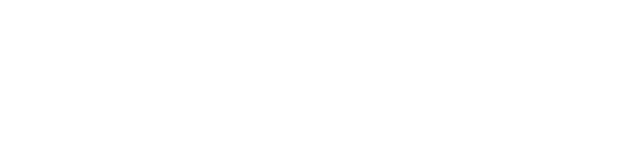 rapid_logo_white_transparent